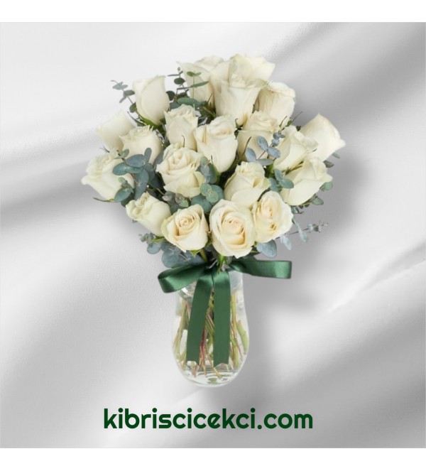 Vazoda 21 Beyaz Gül